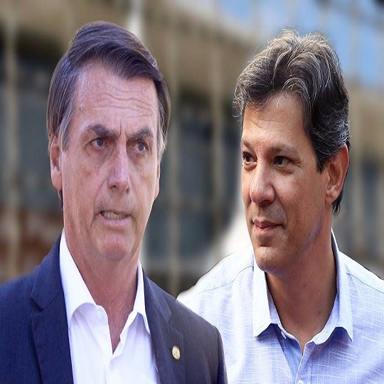 Haddad e Bolsonaro