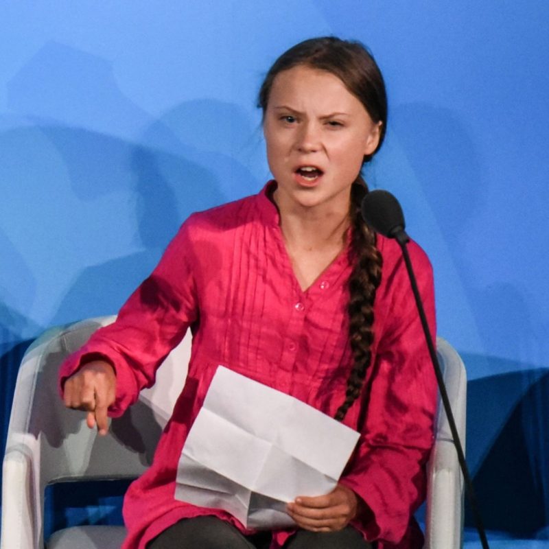 O paroxismo das reações à crise aconteceu com o discurso da jovem Greta Thunberg durante o evento paralelo à Assembleia Geral das Nações Unidas. As reações vieram de todo o espectro político. Portanto, as pautas levantadas pela sueca