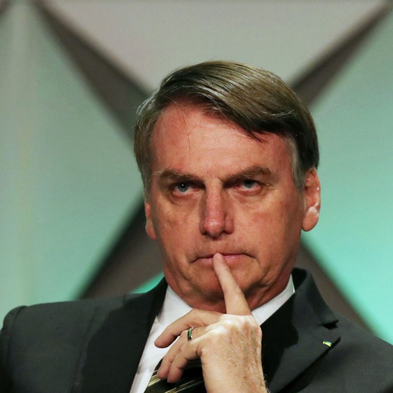 Sobre leões e hienas bolsonaro