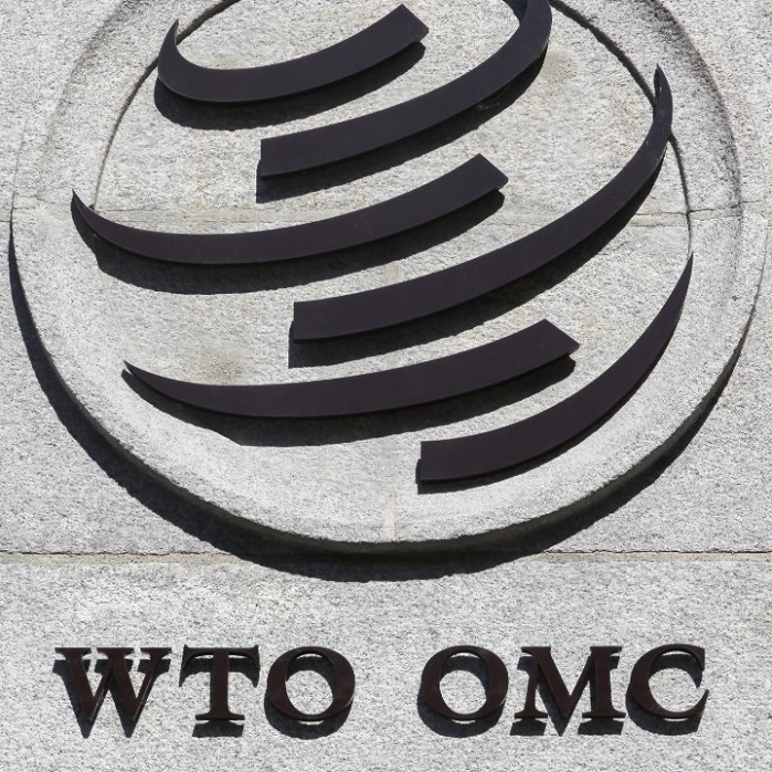 gilberto bercovici a pá de cal na política industrial omc wto agp