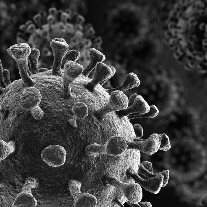 Pandemia Coronavírus