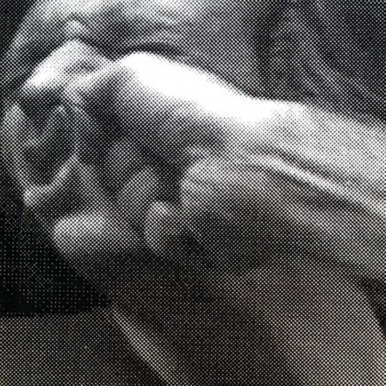 O ódio que divide e unifica