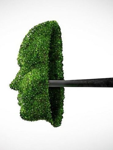 O discurso ecologico e suas consequencias nos paises pobres