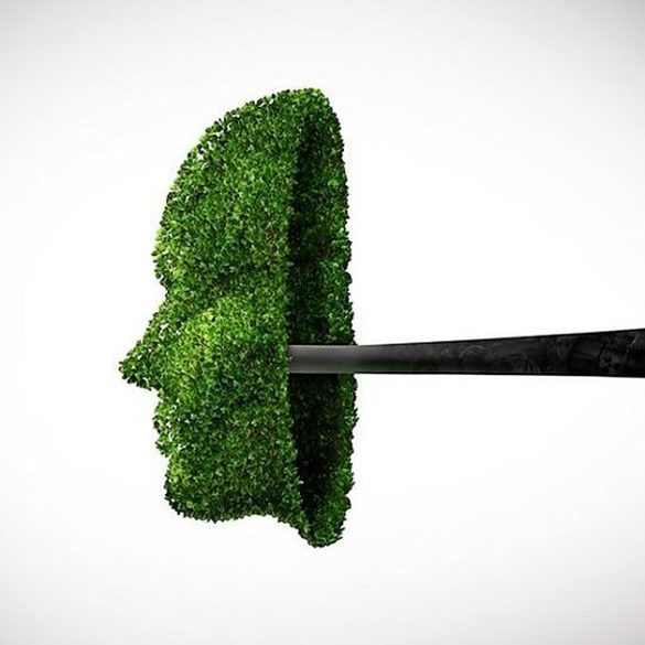 O discurso ecologico e suas consequencias nos paises pobres