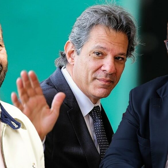 O petismo autofagico