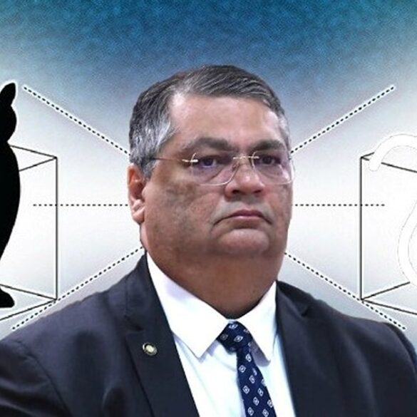 Flavio Dino o pardo de Schrodinger