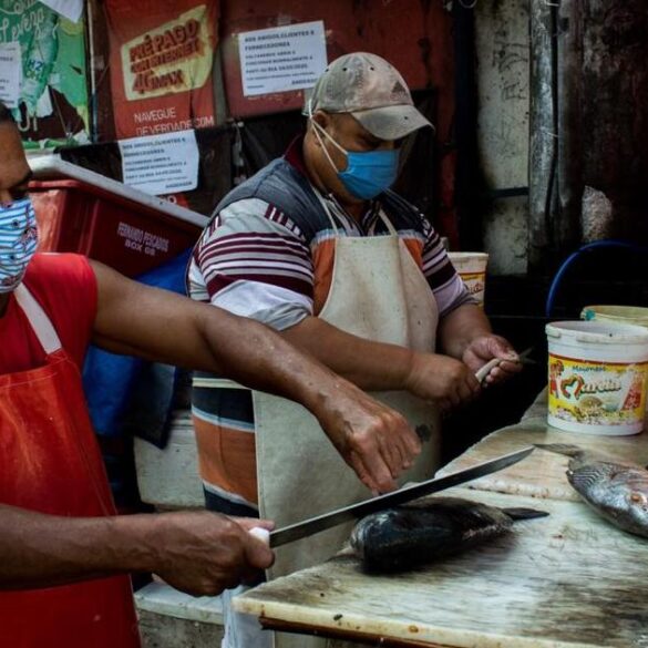 Empreender e Impactar de fato Elementos para um real Desenvolvimento