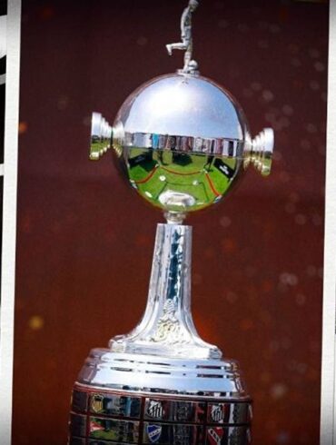 A Final do Mimimi atletico botafogo